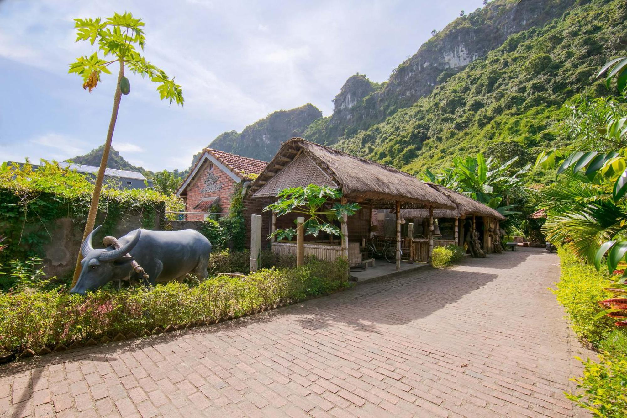 Viet Hai Lan Homestay Trung Trang ภายนอก รูปภาพ